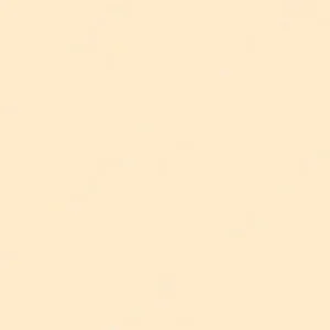 شین‌هان : مارکر براش دوسر تاچ : Raw Silk : BR134