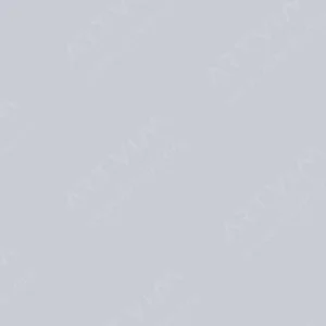 شین‌هان : مارکر براش دوسر تاچ : Cool Grey : CG2