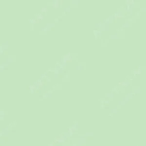شین‌هان : مارکر براش دوسر تاچ : Pale Green : GY59