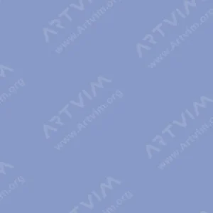 شین‌هان : مارکر براش دوسر تاچ : Blue Berry : PB273