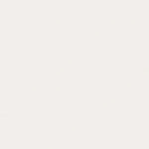 شین‌هان : مارکر براش دوسر تاچ : Warm Grey : WG0.5