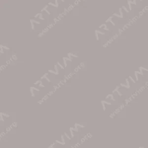 شین‌هان : مارکر براش دوسر تاچ : Warm Grey : WG4