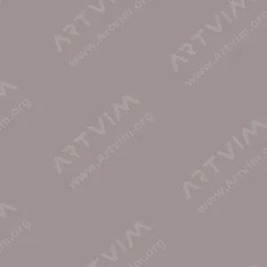 شین‌هان : مارکر براش دوسر تاچ : Warm Grey : WG5