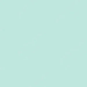شین‌هان : مارکر دوسر تاچ : Mint Blue : B143