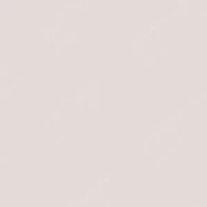 شین‌هان : مارکر دوسر تاچ : Warm Grey : WG1