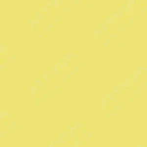 شین‌هان : مارکر دوسر تاچ : Pastel Green : Y49