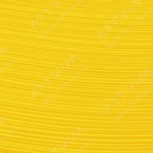 رویال تالنز : رنگ روغن آرتیست رامبراند : Transparent Yellow Medium
