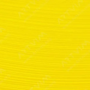 رویال تالنز : رنگ روغن آرتیست رامبراند : Permanent Yellow Medium