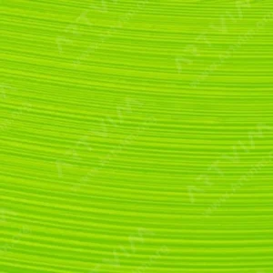 رویال تالنز : رنگ روغن آرتیست رامبراند : Permanent Yellow Green
