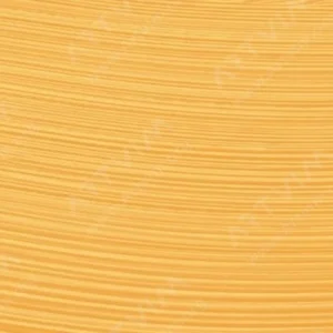 رویال تالنز : رنگ روغن آرتیست رامبراند : Light Gold