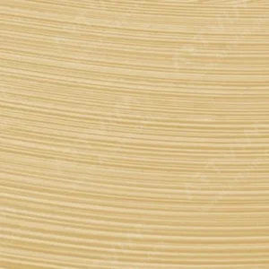 شین‌هان : رنگ روغن : Beige