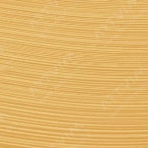 وینزور و نیوتن : رنگ روغن آرتیست : Gold