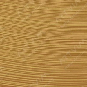 وینزور و نیوتن : رنگ روغن آرتیست : Raw Sienna