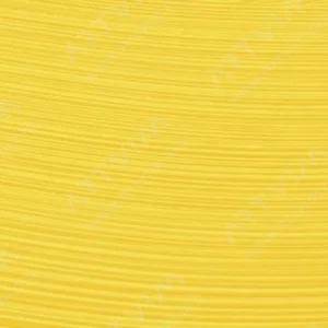 وینزور و نیوتن : رنگ روغن آرتیست : Winsor Yellow
