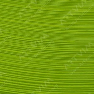 وینزور و نیوتن : رنگ روغن آرتیست : Cadmium Green Pale