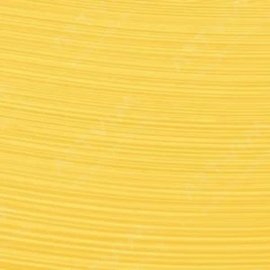وینزور و نیوتن : رنگ روغن آرتیست : Transparent Yellow