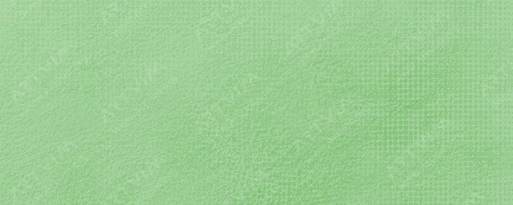 دالر رونی : خمیر هواخشک : Lizard Green 2