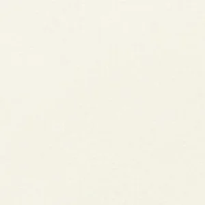 رویال تالنز : پاستل نرم رامبراند : White TR100.5