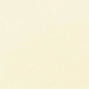 رویال تالنز : پاستل نرم رامبراند : Deep Yellow TR202.12
