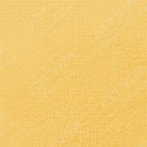 رویال تالنز : پاستل نرم رامبراند : Deep Yellow TR202.7