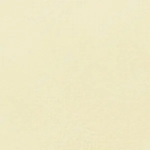 رویال تالنز : پاستل نرم رامبراند : Yellow Ochre TR227.10