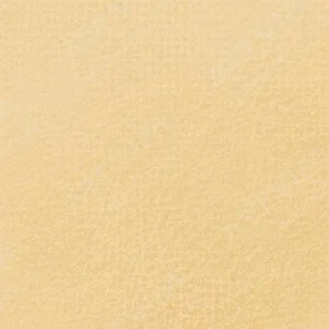 رویال تالنز : پاستل نرم رامبراند : Yellow Ochre TR227.7