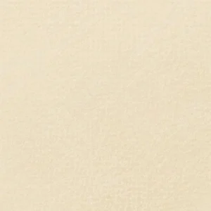 رویال تالنز : پاستل نرم رامبراند : Yellow Ochre TR227.9
