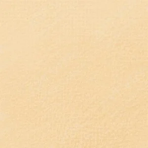 رویال تالنز : پاستل نرم رامبراند : Gold Ochre TR231.10