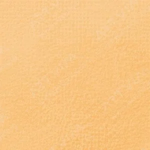 رویال تالنز : پاستل نرم رامبراند : Gold Ochre TR231.7