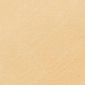 رویال تالنز : پاستل نرم رامبراند : Gold Ochre TR231.8