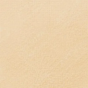 رویال تالنز : پاستل نرم رامبراند : Gold Ochre TR231.9