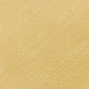 رویال تالنز : پاستل نرم رامبراند : Raw Sienna TR234.10