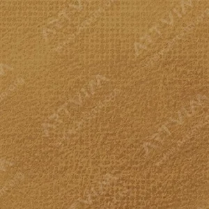 رویال تالنز : پاستل نرم رامبراند : Raw Sienna TR234.3