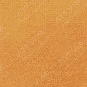 رویال تالنز : پاستل نرم رامبراند : Raw Sienna TR234.7