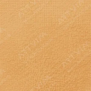 رویال تالنز : پاستل نرم رامبراند : Raw Sienna TR234.8
