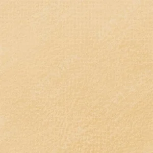 رویال تالنز : پاستل نرم رامبراند : Raw Sienna TR234.9