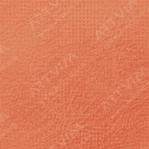 رویال تالنز : پاستل نرم رامبراند : Orange TR235.8