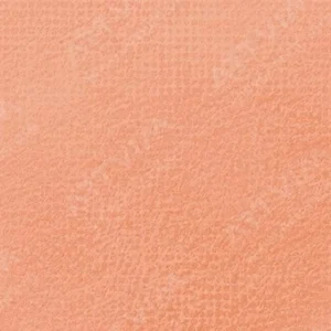 رویال تالنز : پاستل نرم رامبراند : Orange TR235.9