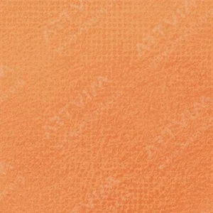 رویال تالنز : پاستل نرم رامبراند : Light Orange TR236.7