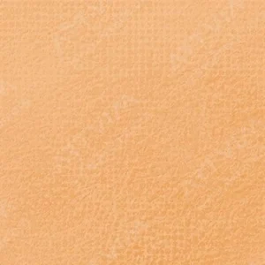 رویال تالنز : پاستل نرم رامبراند : Light Orange TR236.8