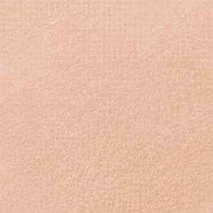 رویال تالنز : پاستل نرم رامبراند : Light Orange TR236.9