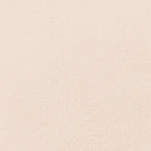 رویال تالنز : پاستل نرم رامبراند : Light Oxide Red TR339.10