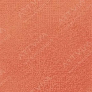 رویال تالنز : پاستل نرم رامبراند : Light Oxide Red TR339.5