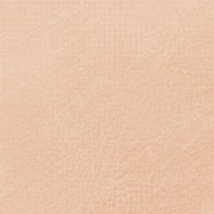 رویال تالنز : پاستل نرم رامبراند : Light Oxide Red TR339.7