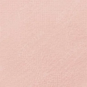 رویال تالنز : پاستل نرم رامبراند : Light Oxide Red TR339.8