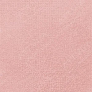 رویال تالنز : پاستل نرم رامبراند : Caput Mortum Red TR343.8