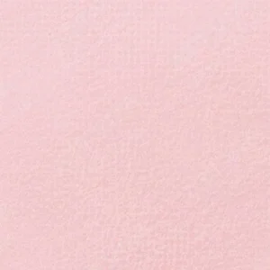 رویال تالنز : پاستل نرم رامبراند : Permanent Rose TR397.10