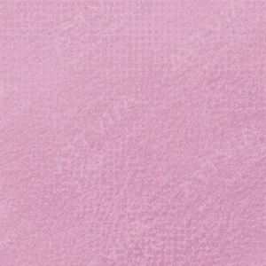 رویال تالنز : پاستل نرم رامبراند : Permanent Rose TR397.9