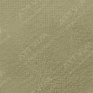 رویال تالنز : پاستل نرم رامبراند : Raw Umber TR408.10