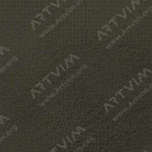 رویال تالنز : پاستل نرم رامبراند : Raw Umber TR408.5